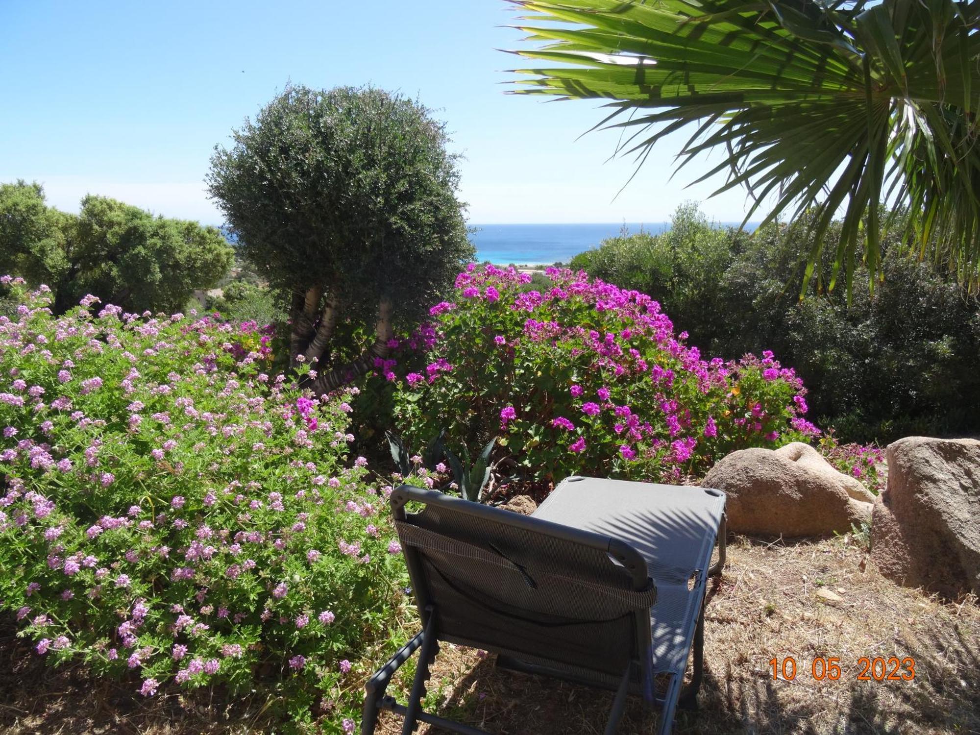 Villa Independante 2/5 Personnes - Palombaggia Vue Mer Magnifique Porto Vecchio Exteriör bild